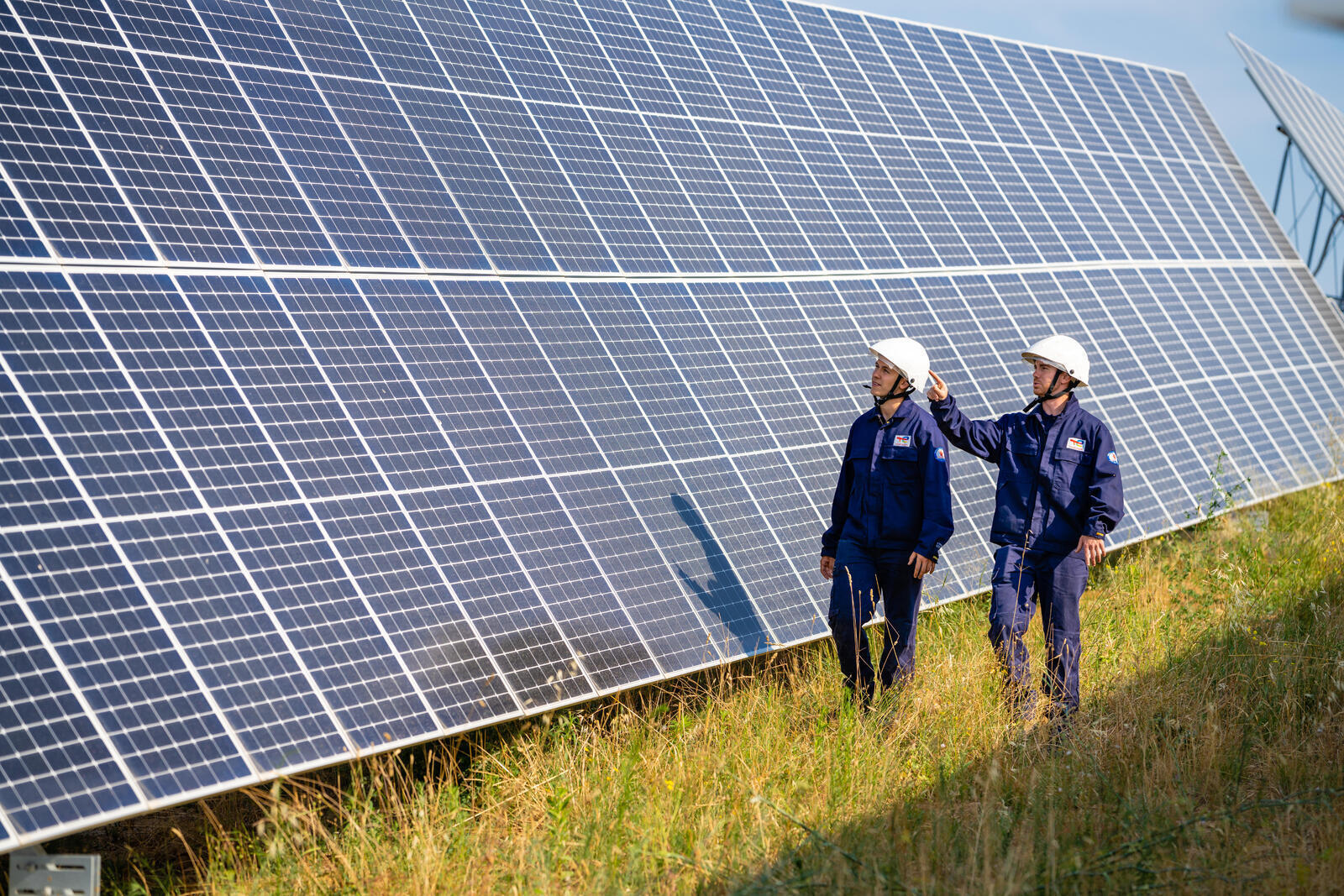 Employees at a solar farm