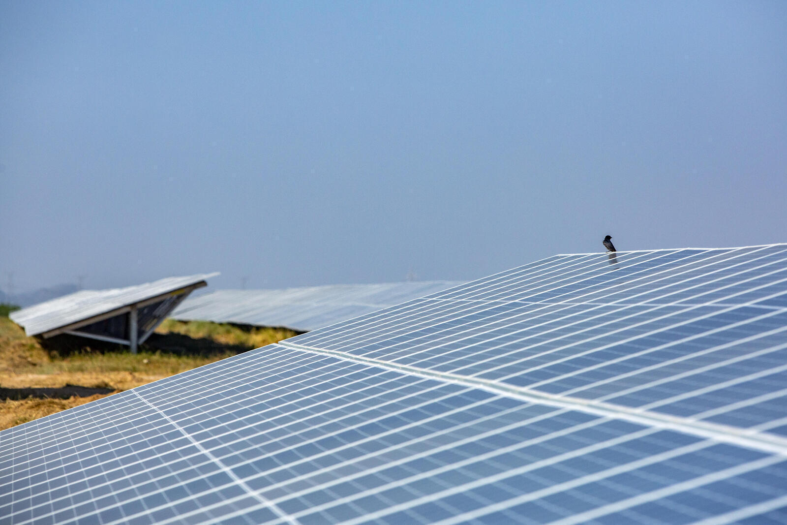 Vue d'ensemble de la centrale solaire - Centrale solaire de Khirasara, Gujarat, Inde (panneaux solaires, panneaux photovoltaiques, Adani Green Energy Limited, panneau photovoltaïque, ferme solaire, transition énergétique)
