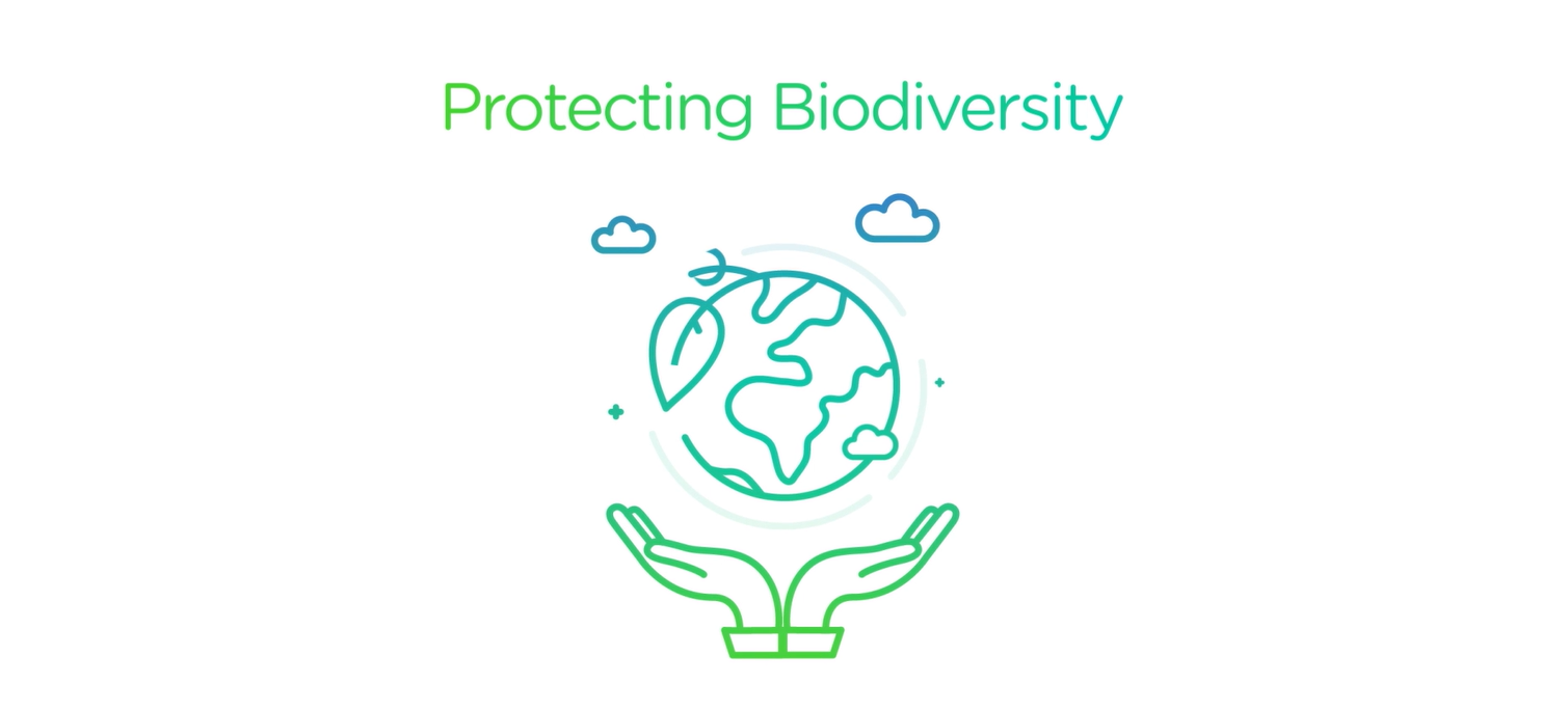 Protecting Biodiversity - Watch the video