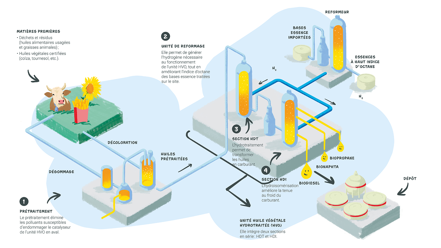 © Ikigaï - TotalEnergies Infographie « Comment sont produits nos biocarburants ? » - voir description détaillée ci-après