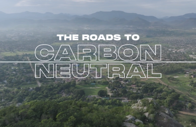 The Roads to Carbon Neutral