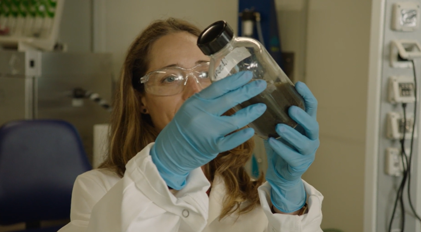 Our employee Cecilia Sambusiti in the laboratory