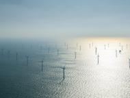 United States: TotalEnergies joins forces with Corio and Rise to develop 3+ GW wind project offshore New York & New Jersey