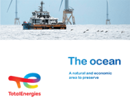 The ocean, a natural and economic area to preserve