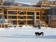 TotalEnergies in Russia