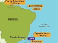 En 2013, Total a fortement accru sa présence au Brésil, pays dans lequel 40% des découvertes de pétrole des 5 dernières années ont été réalisées, en acquérant des participations dans 10 permis d’exploration et 20% de la découverte de Libra.