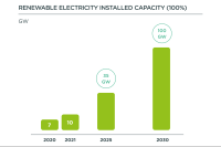 Renewable electricity installed capacity (100%)