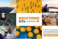 Solutions & Co