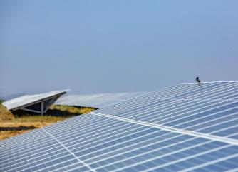 Overview of the solar power plant - Khirasara solar power plant, Gujarat, India (solar panels, photovoltaic panels, Adani Green Energy Limited, photovoltaic panel, solar farm, energy transition)
