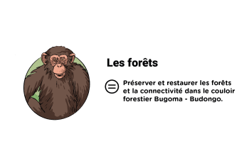 Infographie Pilier 4 : Les Forêts - en savoir plus