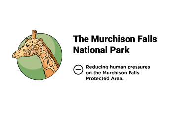 Infographics Pillar1: The Murchison Falls National Park - Learn out more