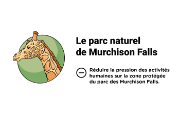 Infographie Pilier 1 : Le parc naturel de Murchison Falls - en savoir plus