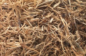 Close-up of wood chips.