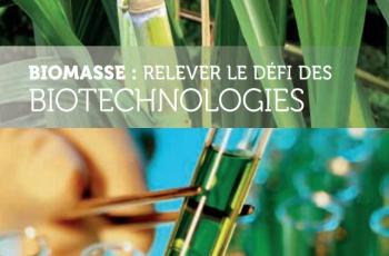 Biomasse: Le défi des biotechnologies