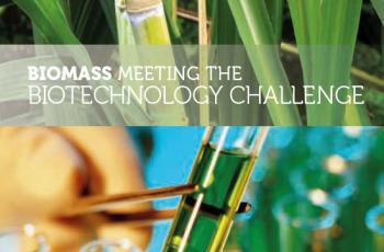 Biomass: the challenge of biotechnologies
