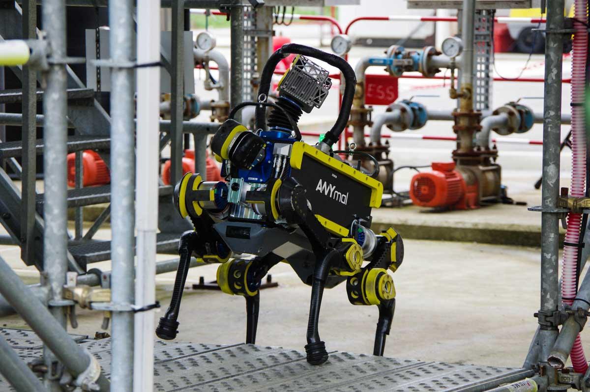 Day 3 of the ARGOS competition round 3