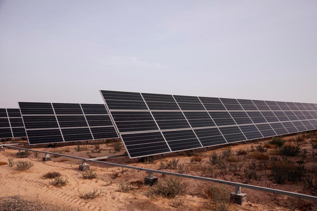 Ferme solaire Camelicious à Dubaï