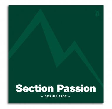 Retrouver le livre "Section Passion"