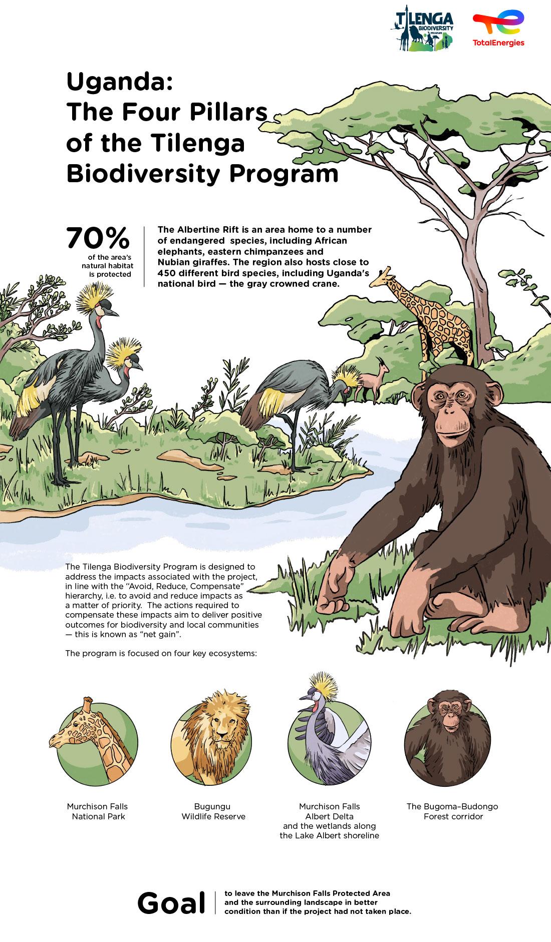 Infographics « Uganda : The Four Pillars of the Tilenga Biodiversity Program » - see detailed description hereafter