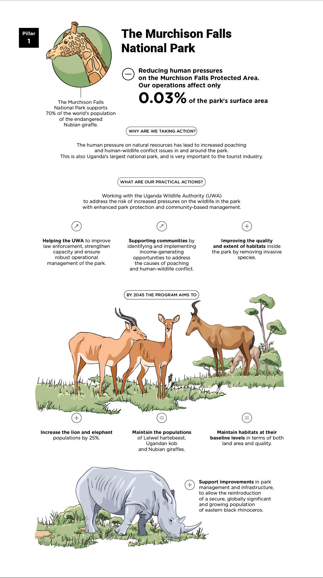 Infographics "Pillar 1: The Murchison Falls National Park" - see detailed description hereafter