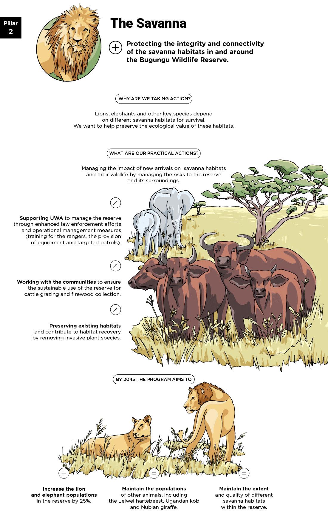 Infographics « Pillar 2: The Savanna » - see detailed description hereafter