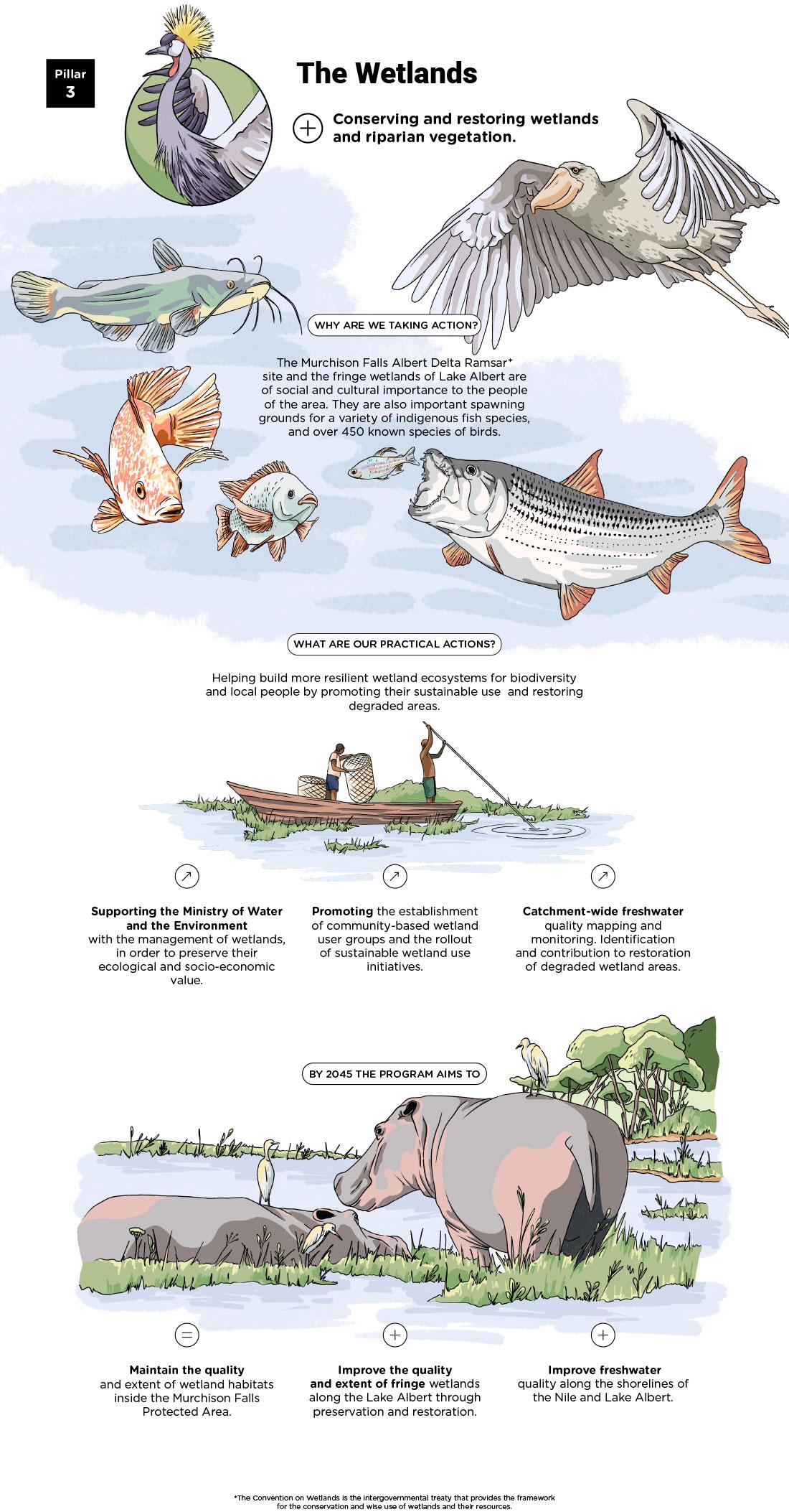 Infographics « Pillar 3: The Wetlands » - see detailed description hereafter